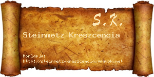 Steinmetz Kreszcencia névjegykártya